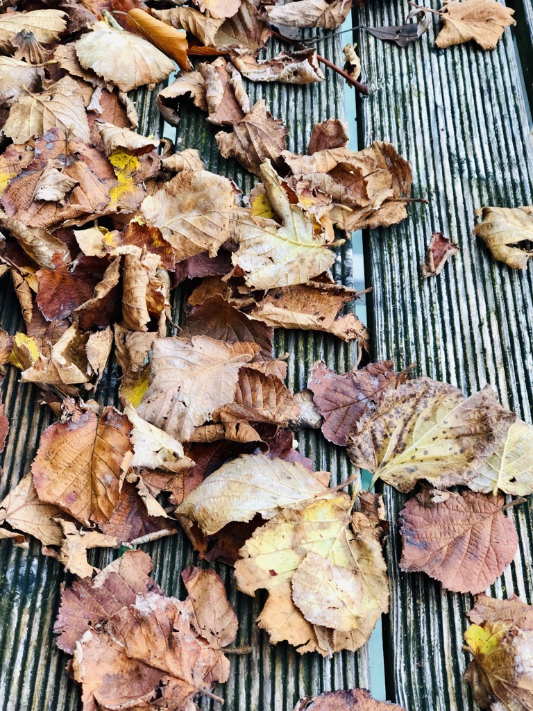 Herbstzeit Herbstzeit